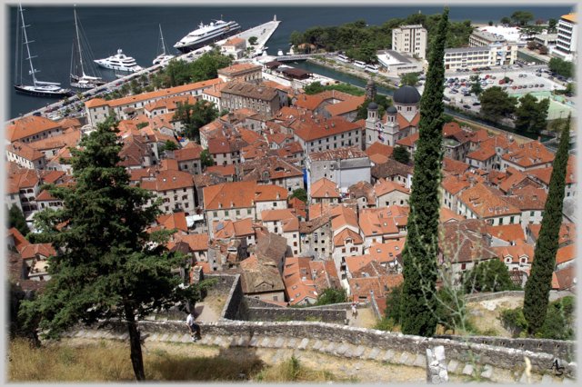 Kotor