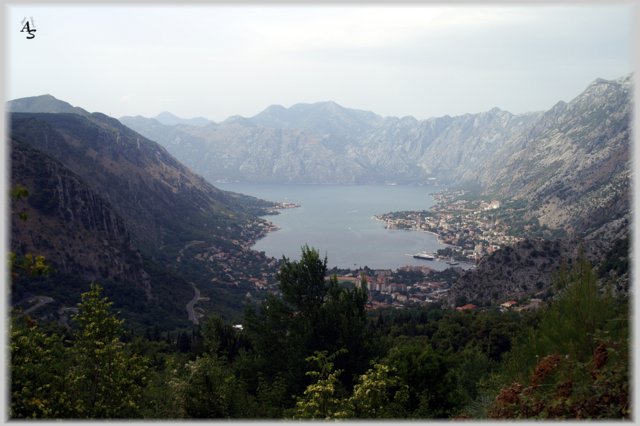 Kotor