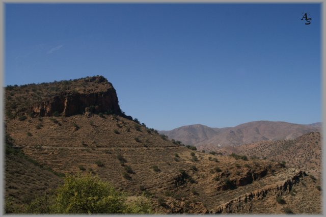 pict7275-a.jpg