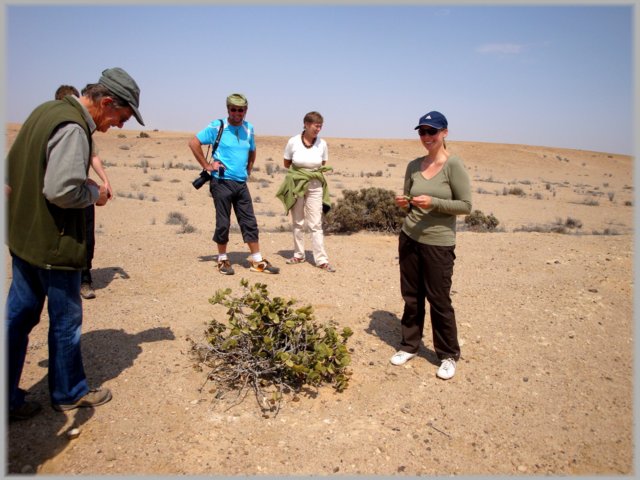 Namibia 2012