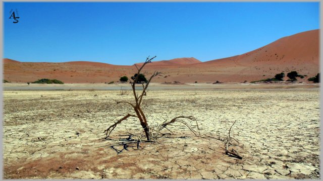 Namibia 2012, Sossusvlei