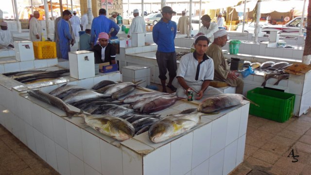 Urlaub 2013 Emirate und Oman