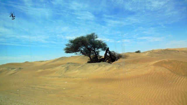 Urlaub 2013 Emirate und Oman