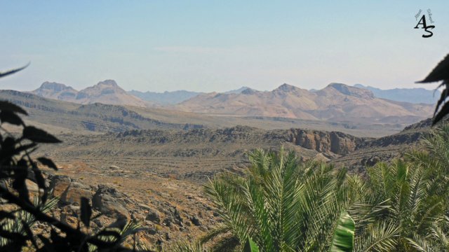 Urlaub 2013 Emirate und Oman