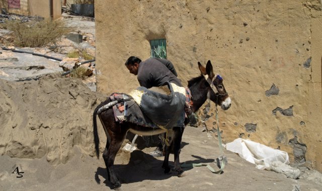 Urlaub 2013 Emirate und Oman