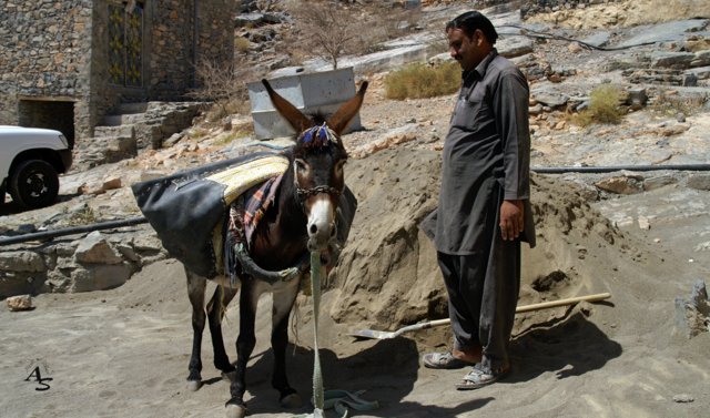 Urlaub 2013 Emirate und Oman