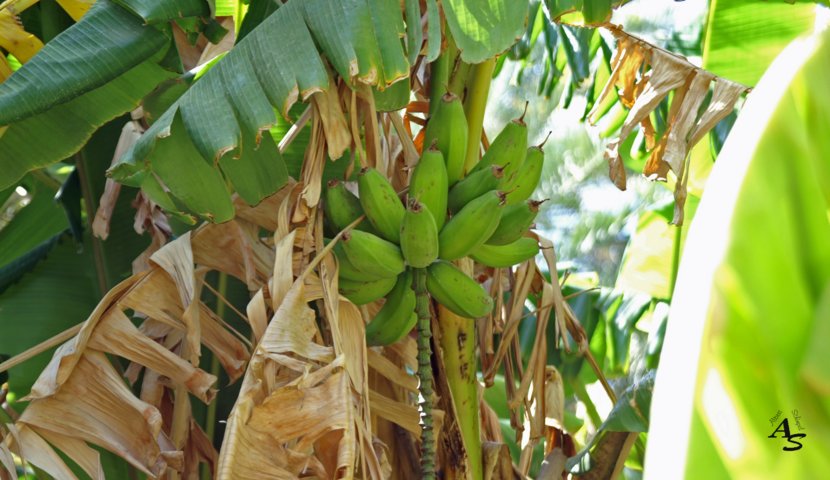 Urlaub 2013 Emirate und Oman