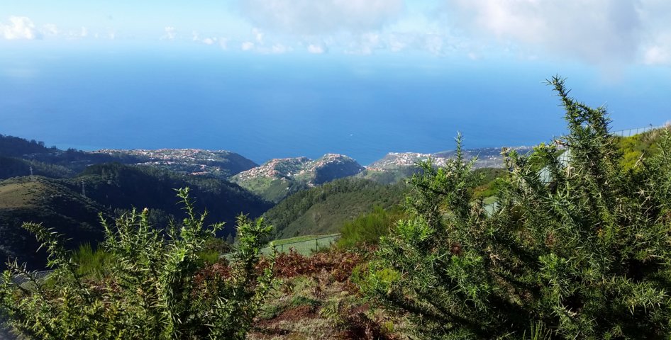 Madeira 2015 