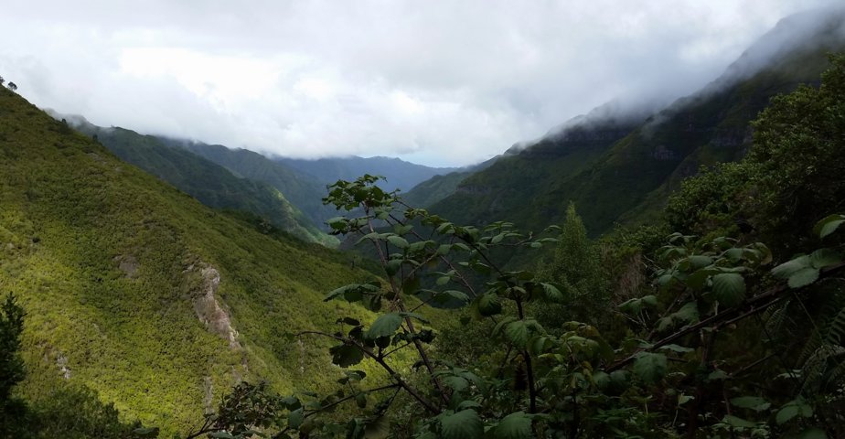 Madeira 2015 