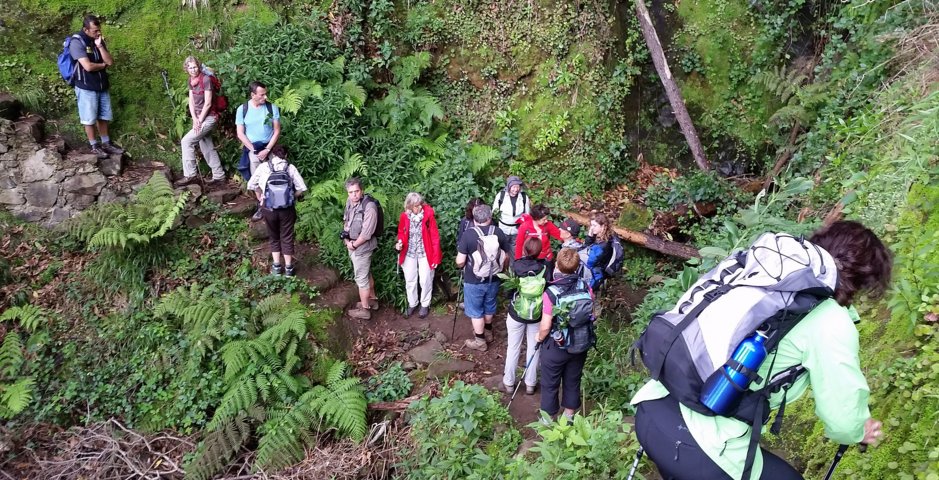 Madeira 2015 