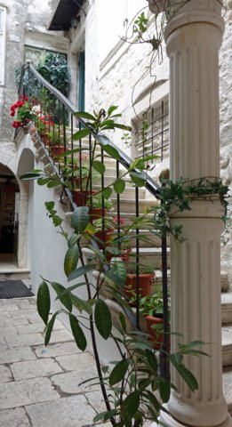dsc00467-a.jpg