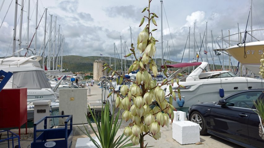 dsc00478-a.jpg