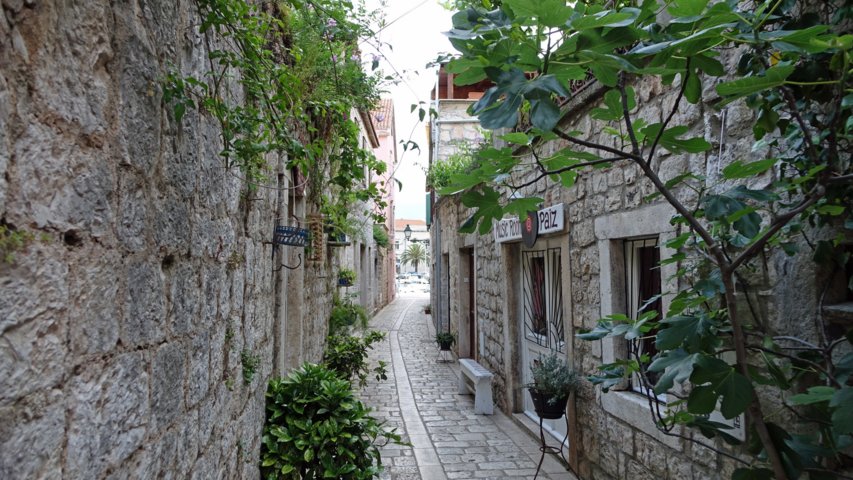 dsc00573-a.jpg
