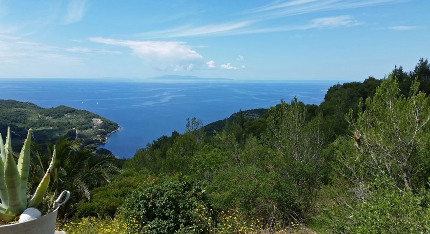 20160517_125230-a.jpg