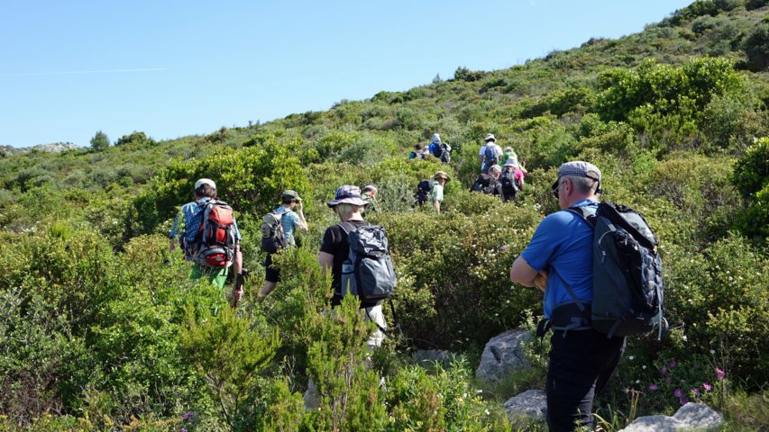dsc00701-a.jpg