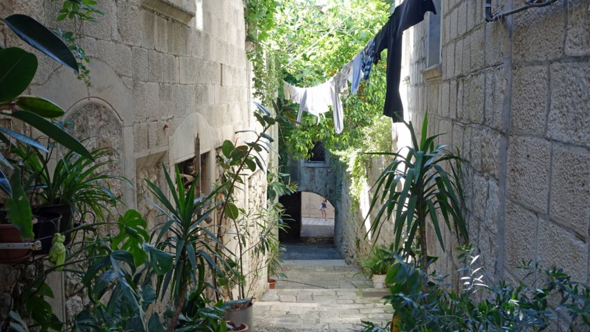 dsc00734-a.jpg
