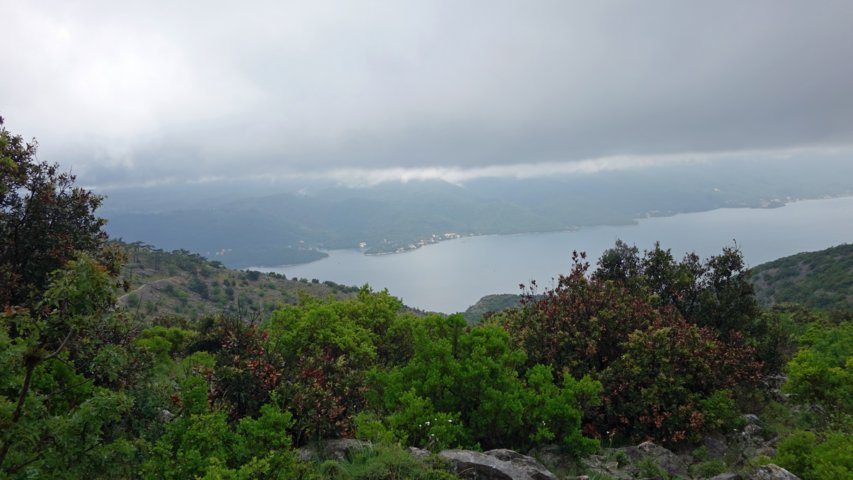 dsc00812-a.jpg