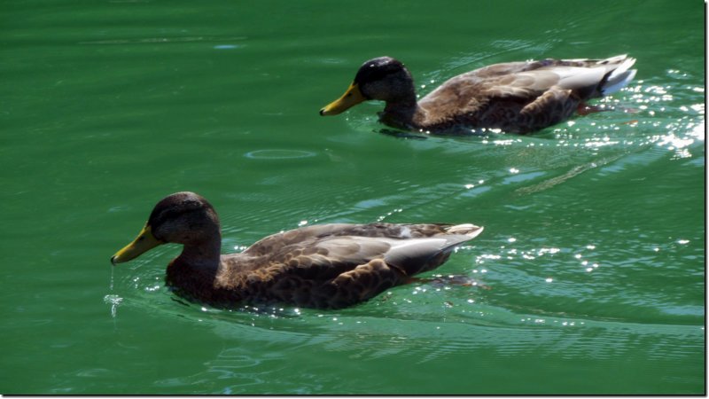 Flofahrt auf der Isar 