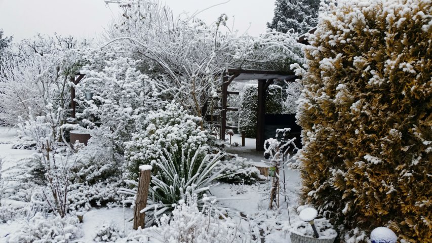 Winterstimmung im Garten