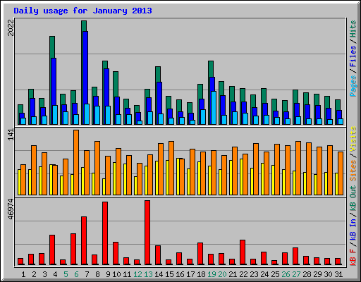 Daily usage for January 2013