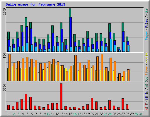 Daily usage for February 2013