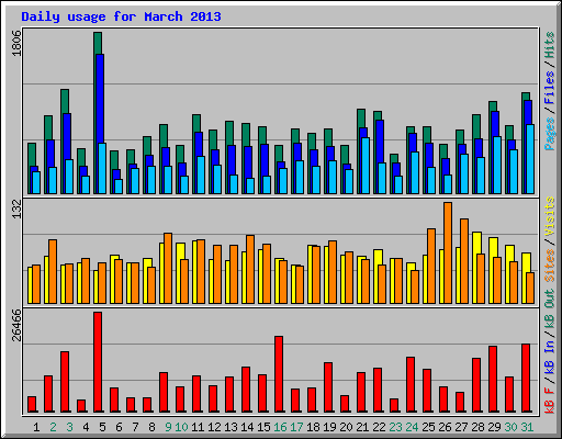 Daily usage for March 2013