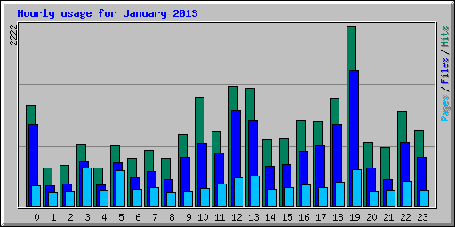 Hourly usage for January 2013