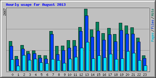 Hourly usage for August 2013