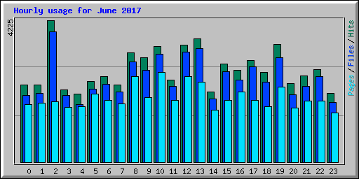 Hourly usage for June 2017