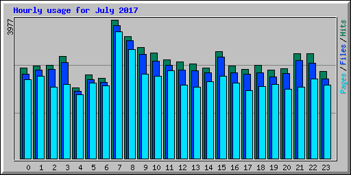 Hourly usage for July 2017