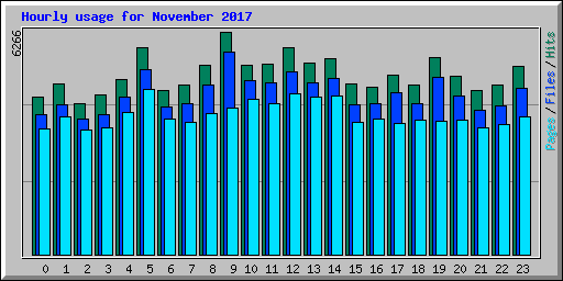 Hourly usage for November 2017